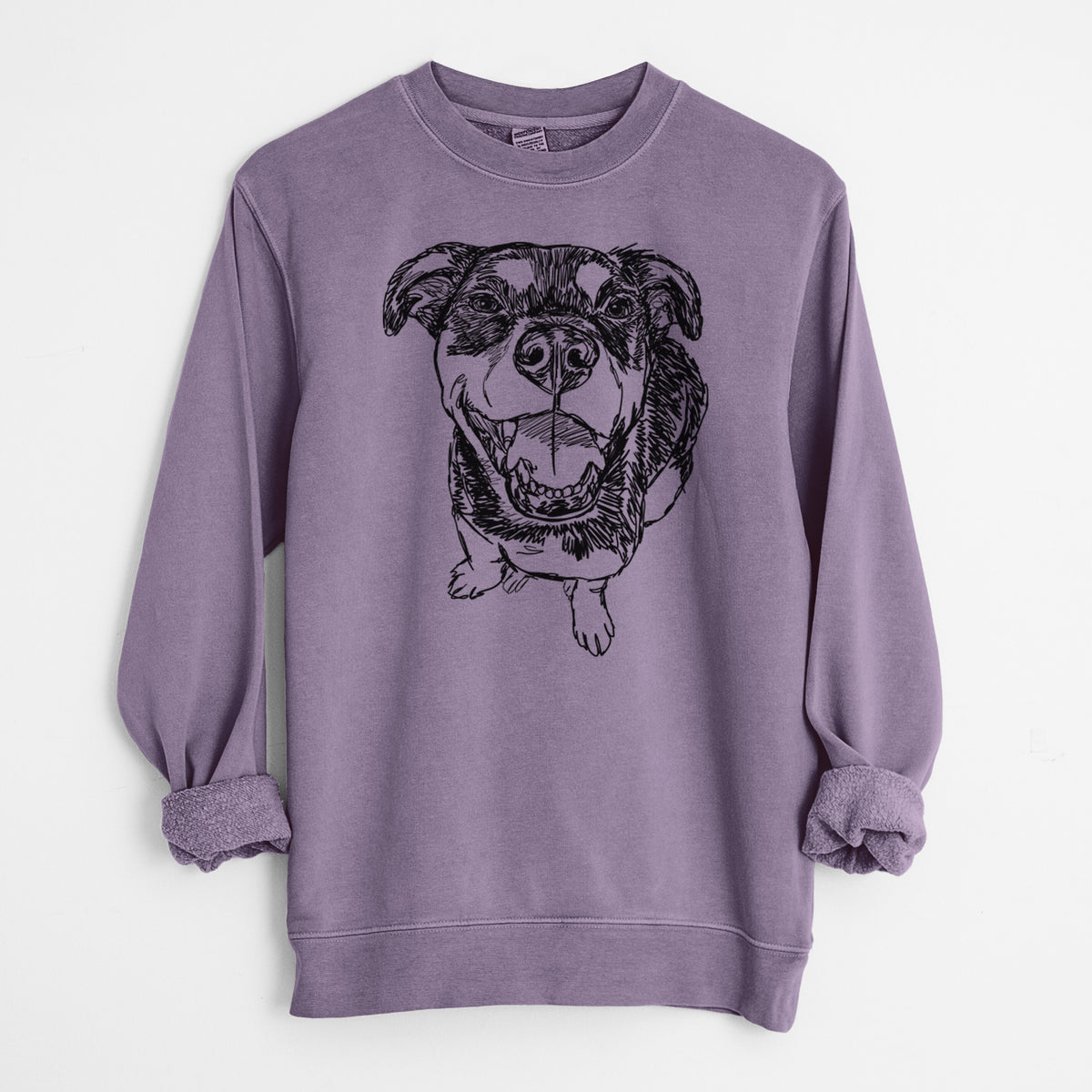 Doodled Lady Kane the Reagle - Unisex Pigment Dyed Crew Sweatshirt