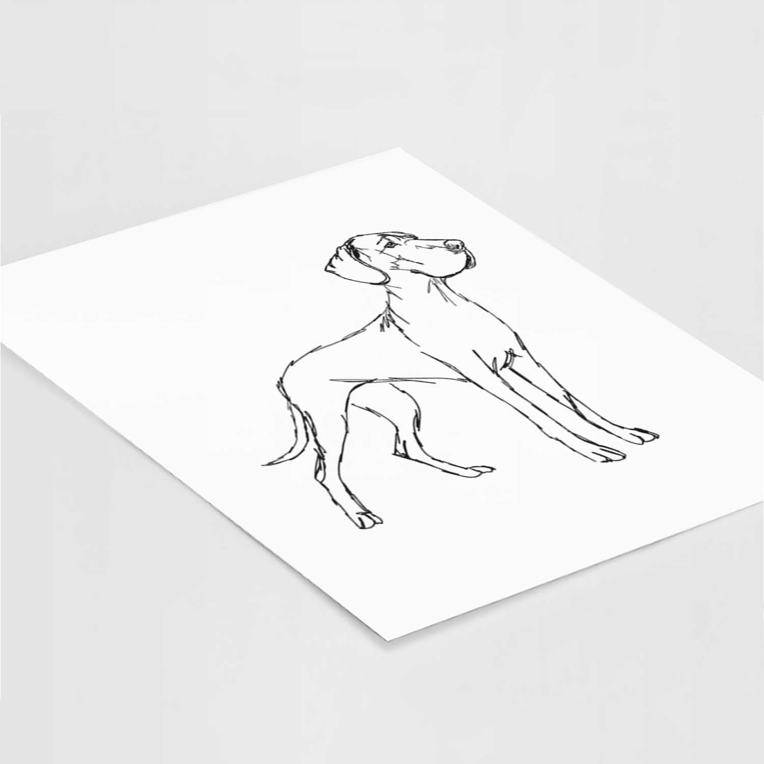 Doodled Layla the Great Dane Art Print