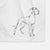 Doodled Layla the Great Dane Decorative Hand Towel