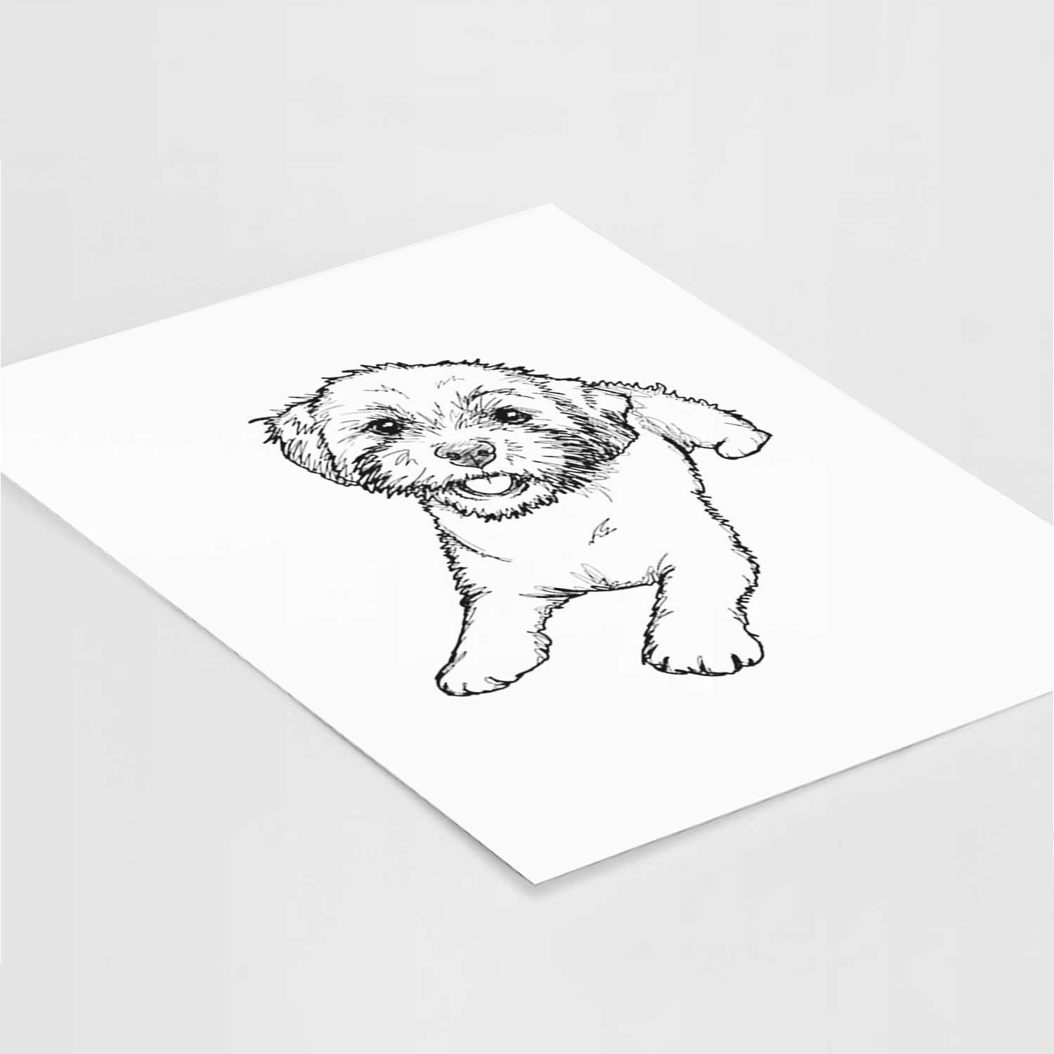 Doodled Lexi the Shichon Art Print