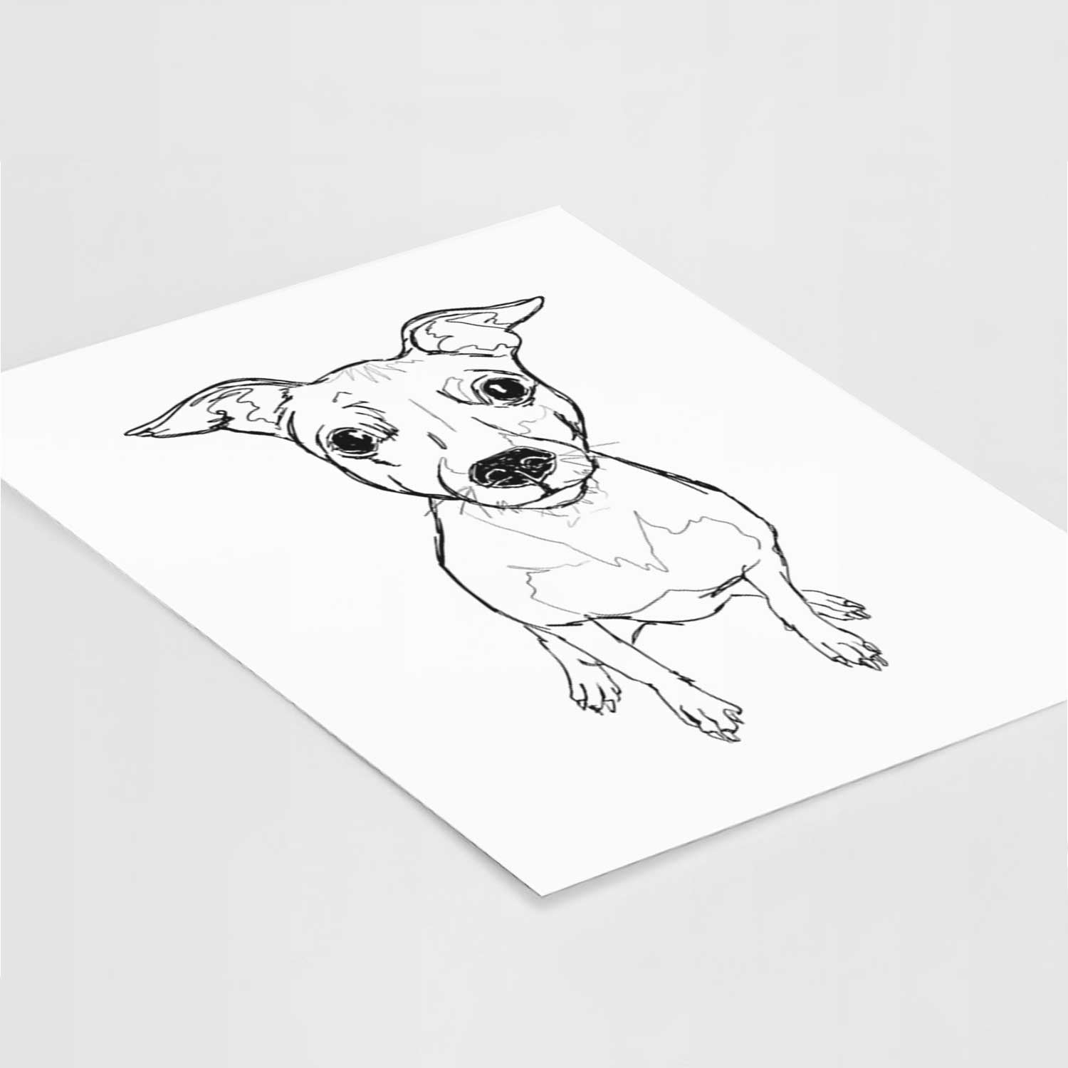 Doodled Little Lucy the American Hairless Terrier Art Print