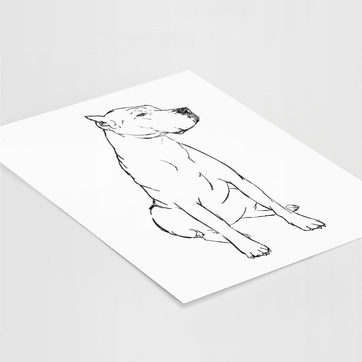 Doodled Luna the Dogo Argentino Art Print