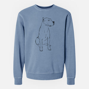 Doodled Luna the Dogo Argentino - Unisex Pigment Dyed Crew Sweatshirt