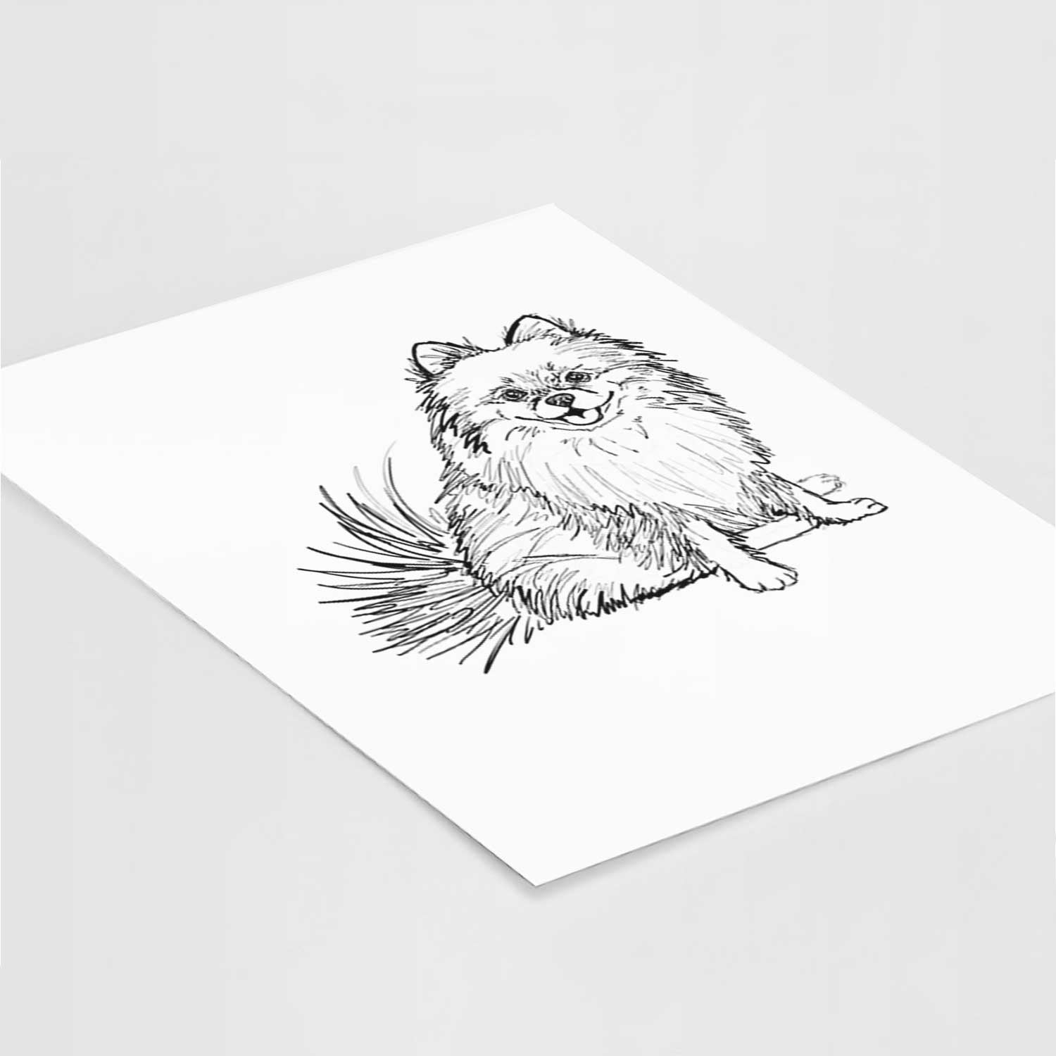 Doodled Madeira the Pomeranian Art Print