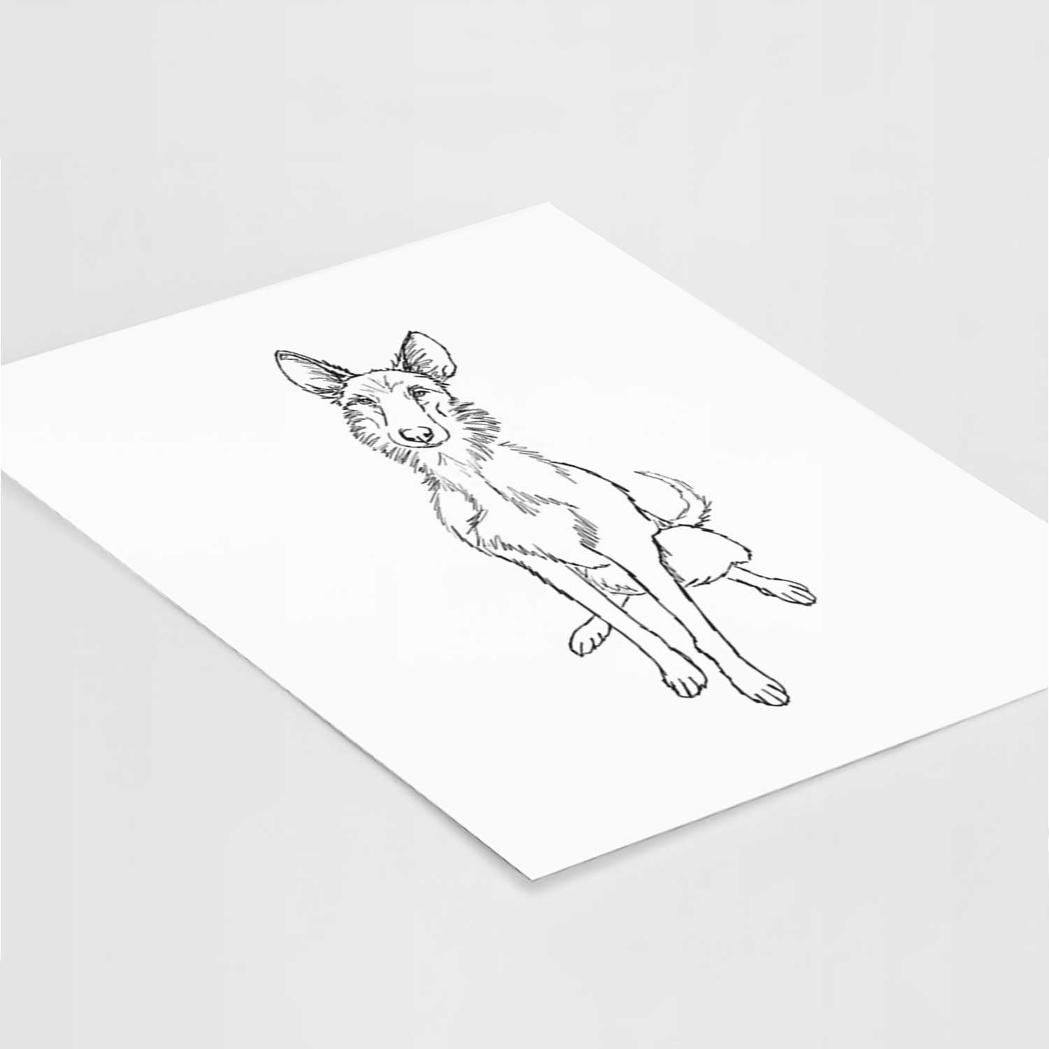 Doodled Mayze the Ibizan Sighthound Art Print