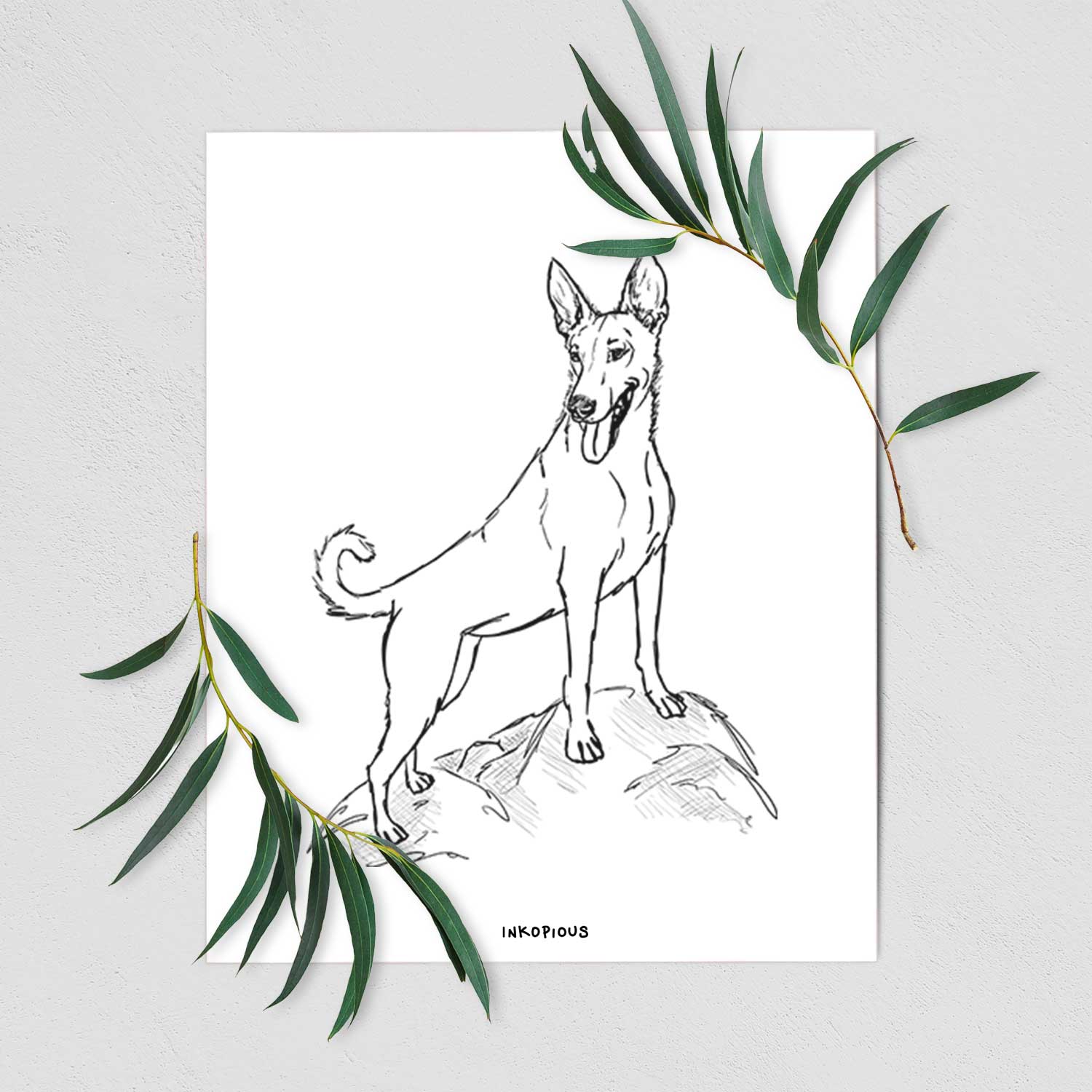 Doodled Mochi the Carolina Dog Art Print