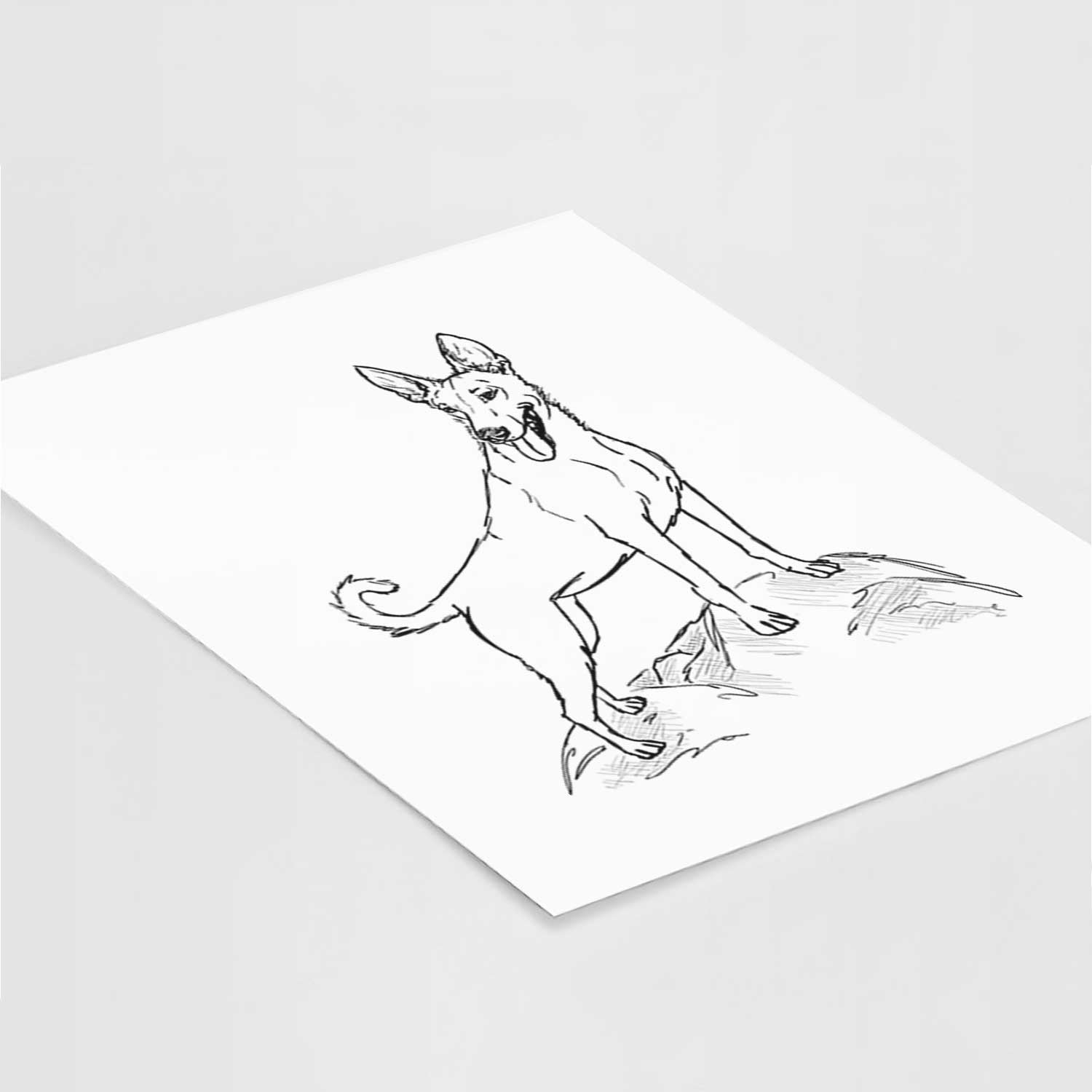 Doodled Mochi the Carolina Dog Art Print