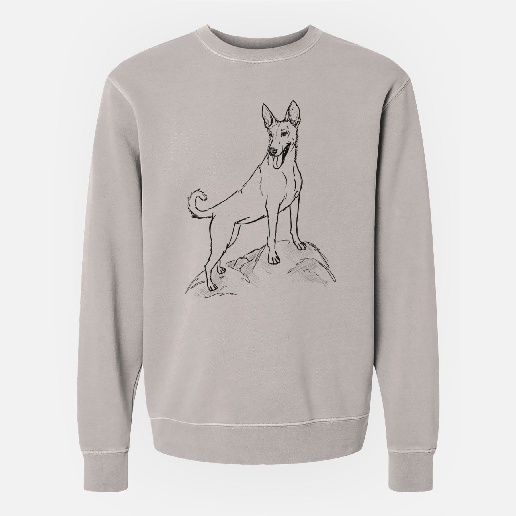 Doodled Mochi the Carolina Dog - Unisex Pigment Dyed Crew Sweatshirt