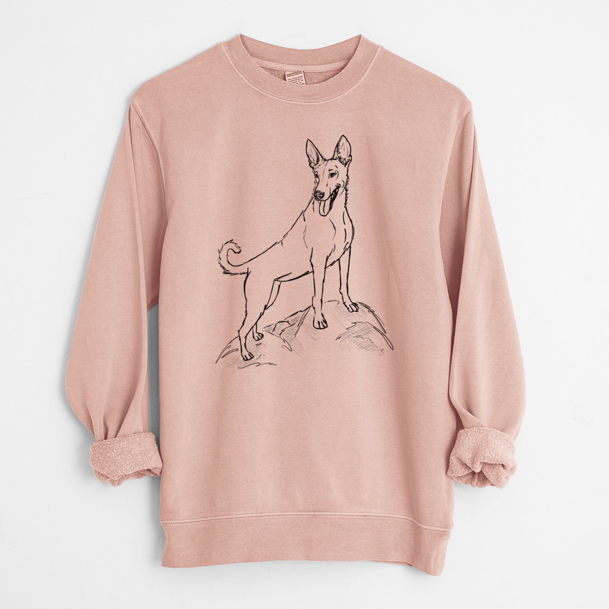 Doodled Mochi the Carolina Dog - Unisex Pigment Dyed Crew Sweatshirt