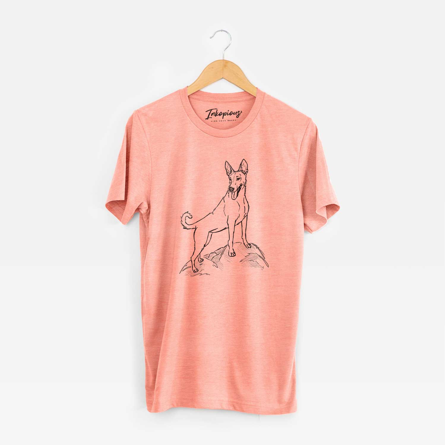 Doodled Mochi the Carolina Dog - Unisex Crewneck