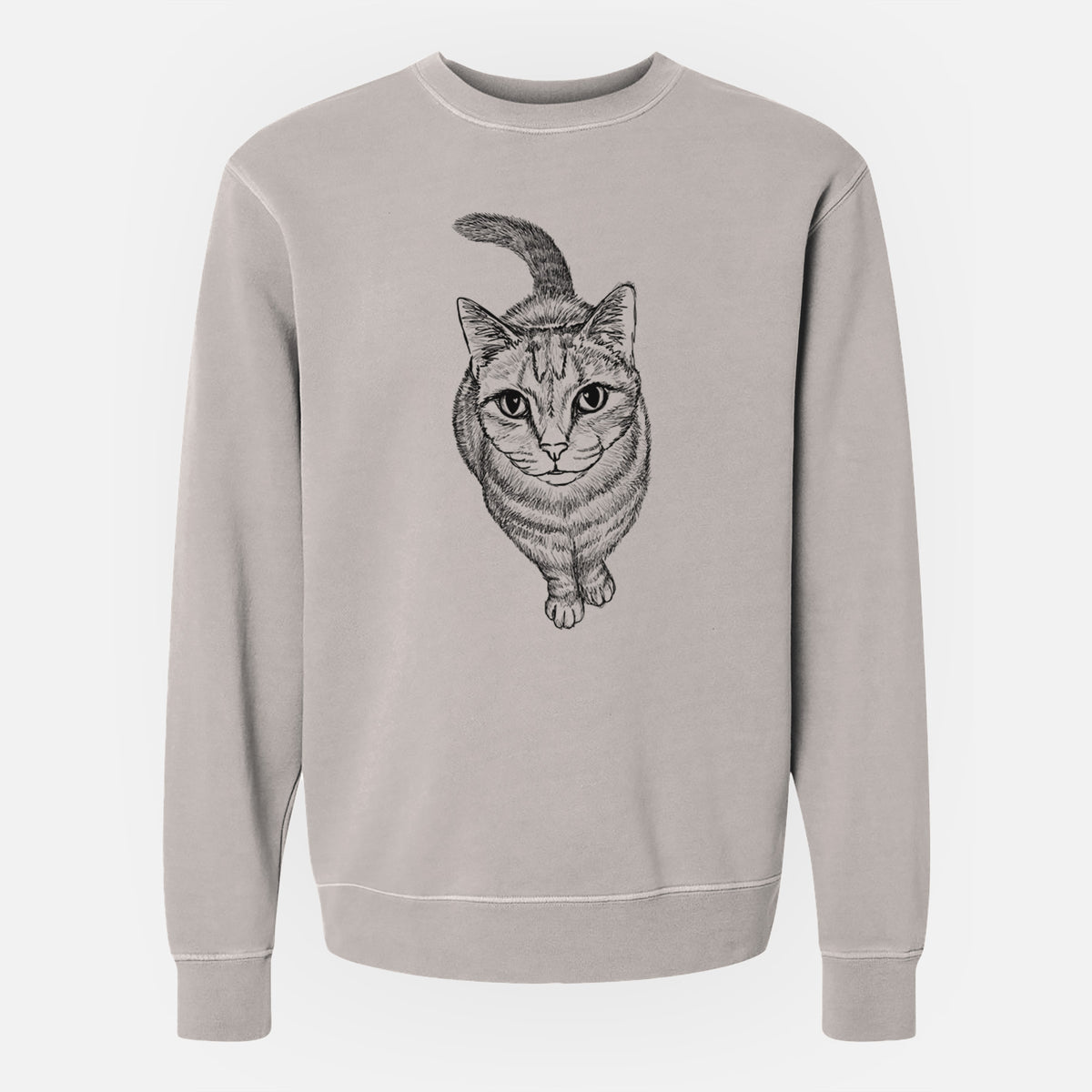 Doodled Nahla the Tabby Cat - Unisex Pigment Dyed Crew Sweatshirt