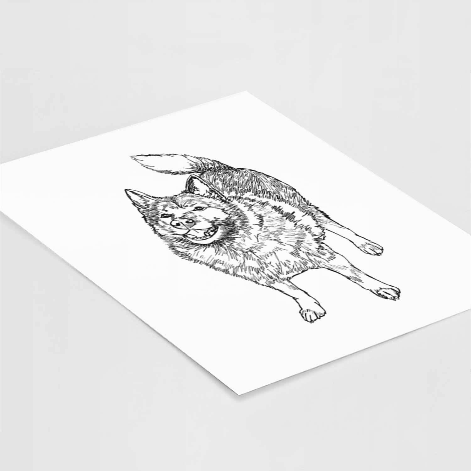 Doodled Oban Bear the Norwegian Elkhound Art Print