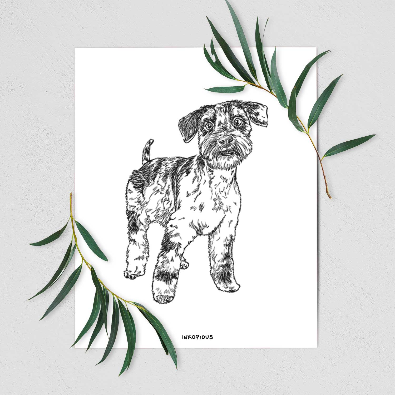 Doodled Oliver the Blue Merle Mini Schnauzer Art Print