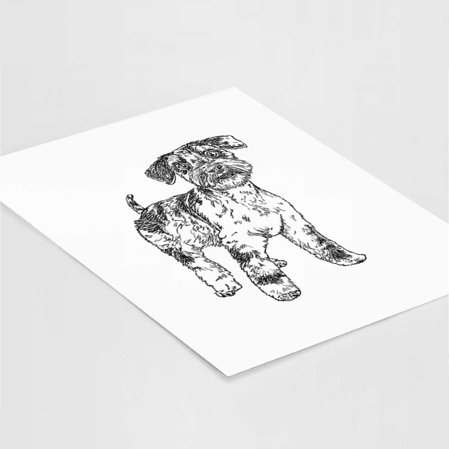 Doodled Oliver the Blue Merle Mini Schnauzer Art Print