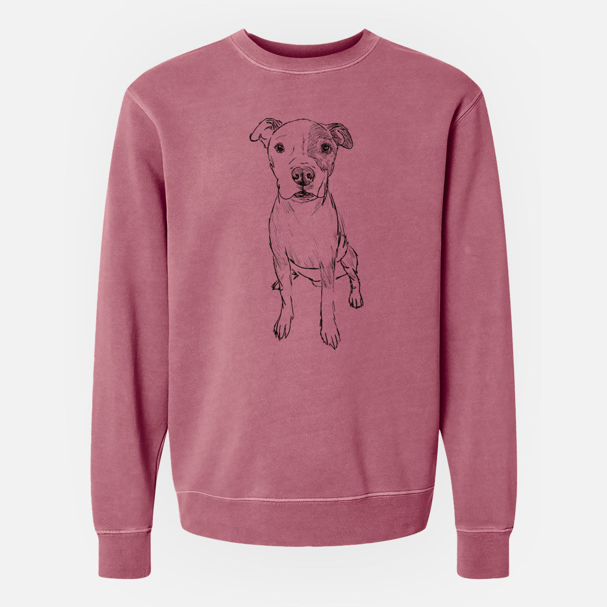 Doodled Peter the Pitbull - Unisex Pigment Dyed Crew Sweatshirt