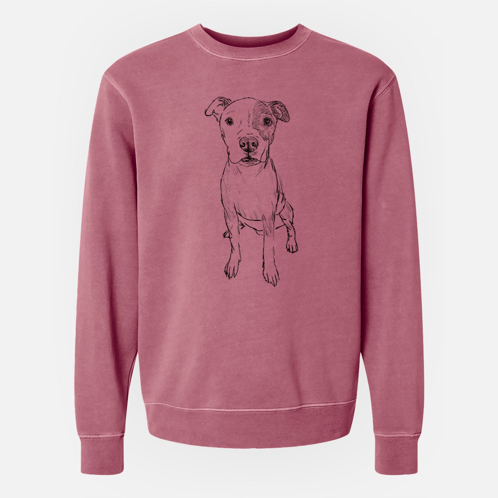 Doodled Peter the Pitbull - Unisex Pigment Dyed Crew Sweatshirt