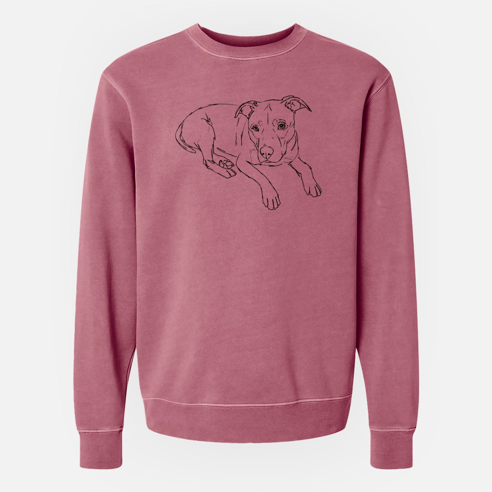 Doodled Pogo the Pitbull - Unisex Pigment Dyed Crew Sweatshirt