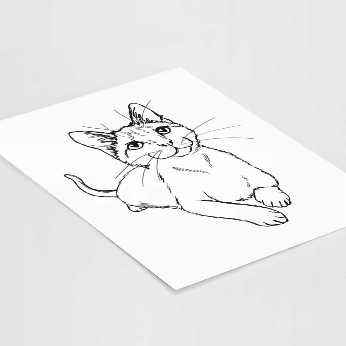 Doodled Quark the Siamese Cat Art Print