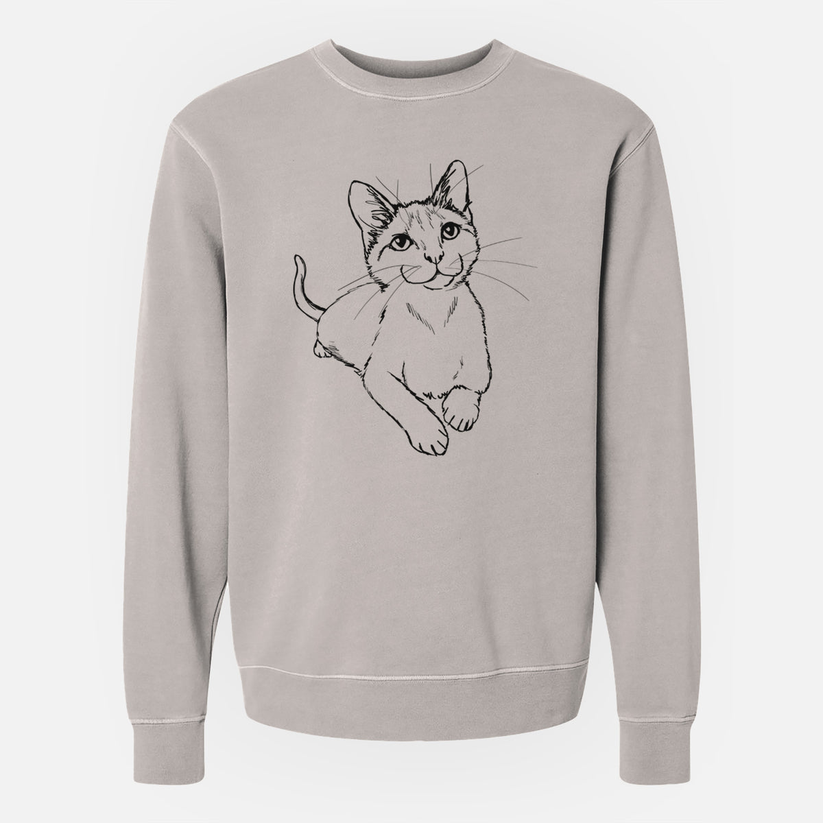 Doodled Quark the Siamese Cat - Unisex Pigment Dyed Crew Sweatshirt