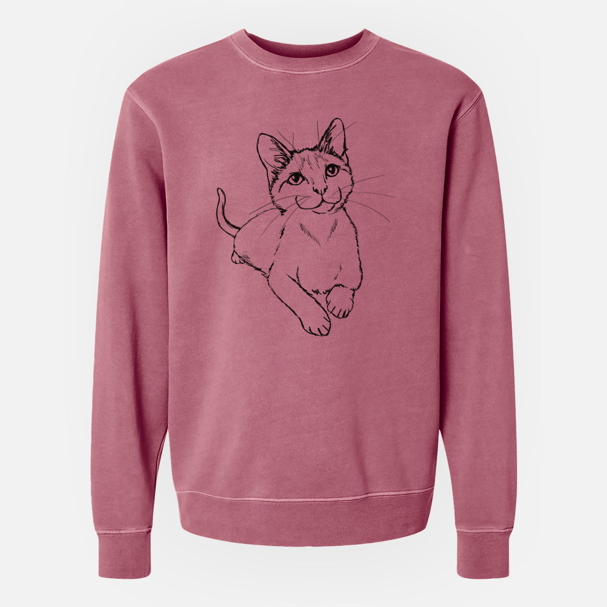 Doodled Quark the Siamese Cat - Unisex Pigment Dyed Crew Sweatshirt