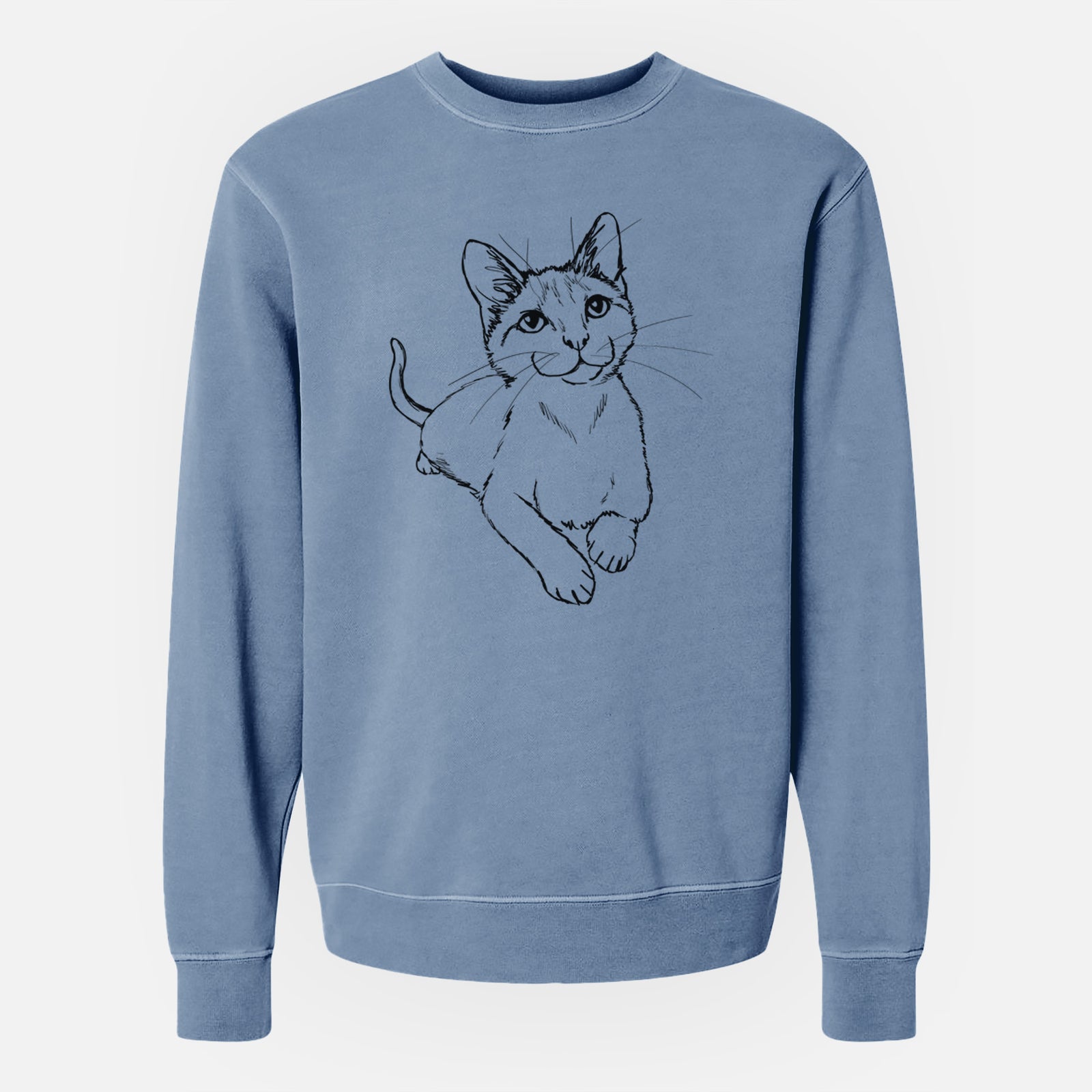 Doodled Quark the Siamese Cat - Unisex Pigment Dyed Crew Sweatshirt