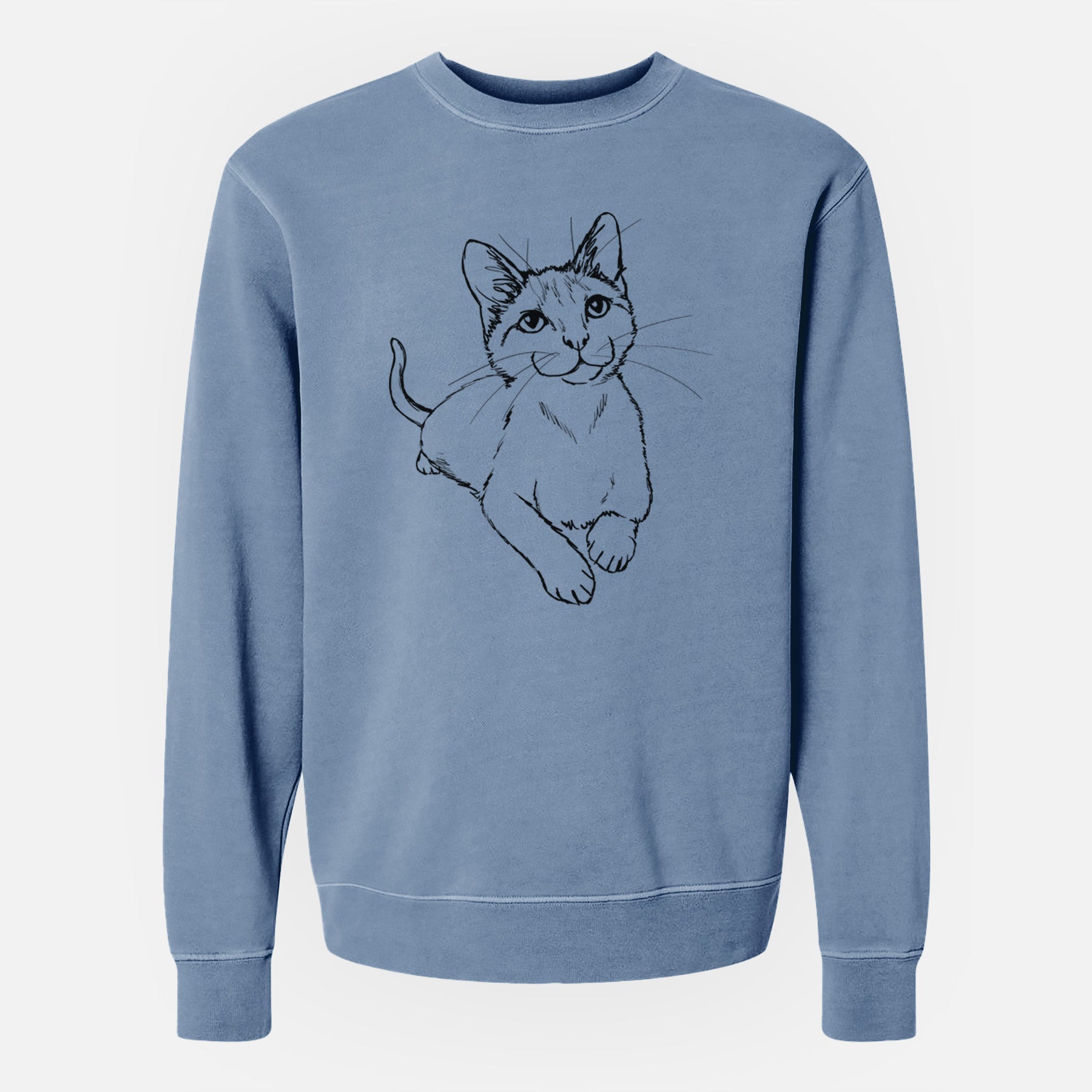 Doodled Quark the Siamese Cat - Unisex Pigment Dyed Crew Sweatshirt