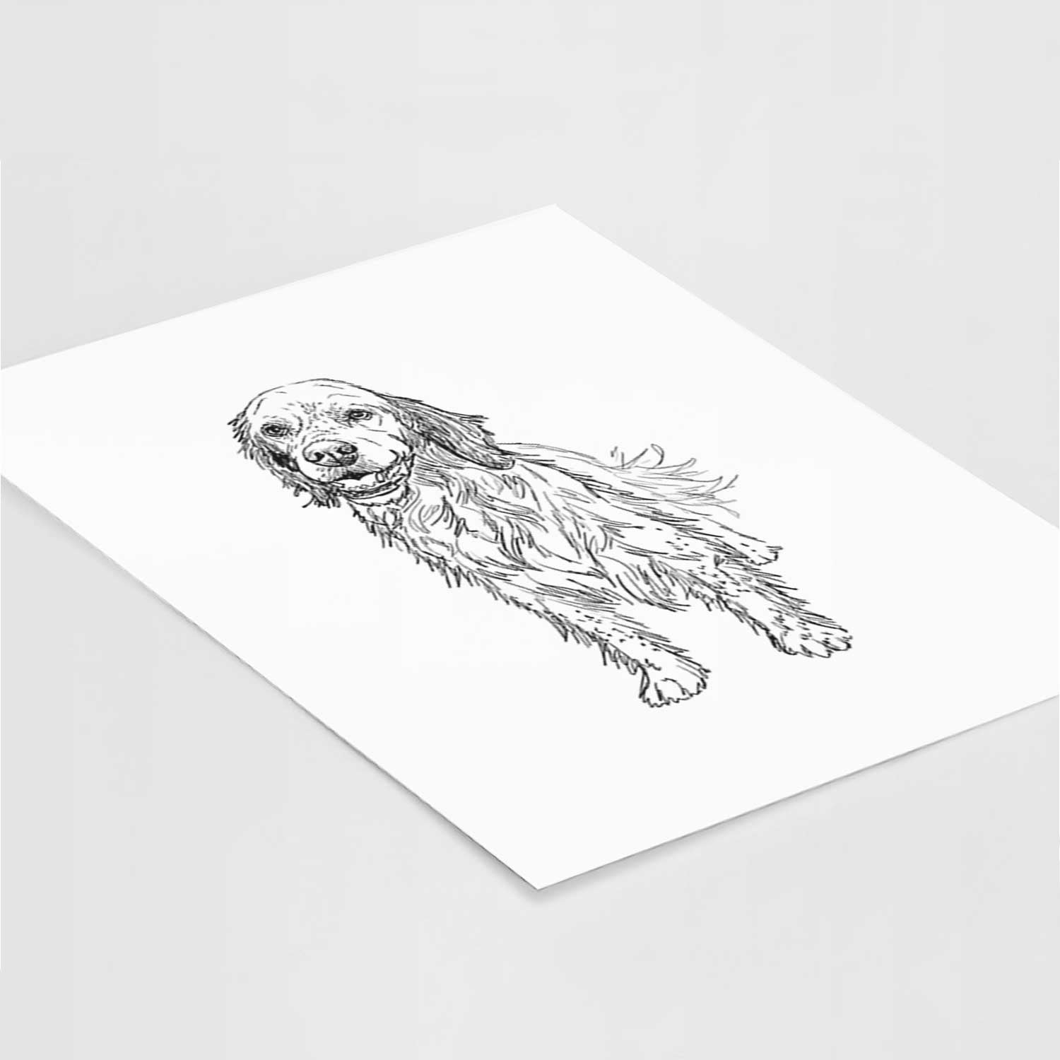 Doodled Rex the English Setter Art Print