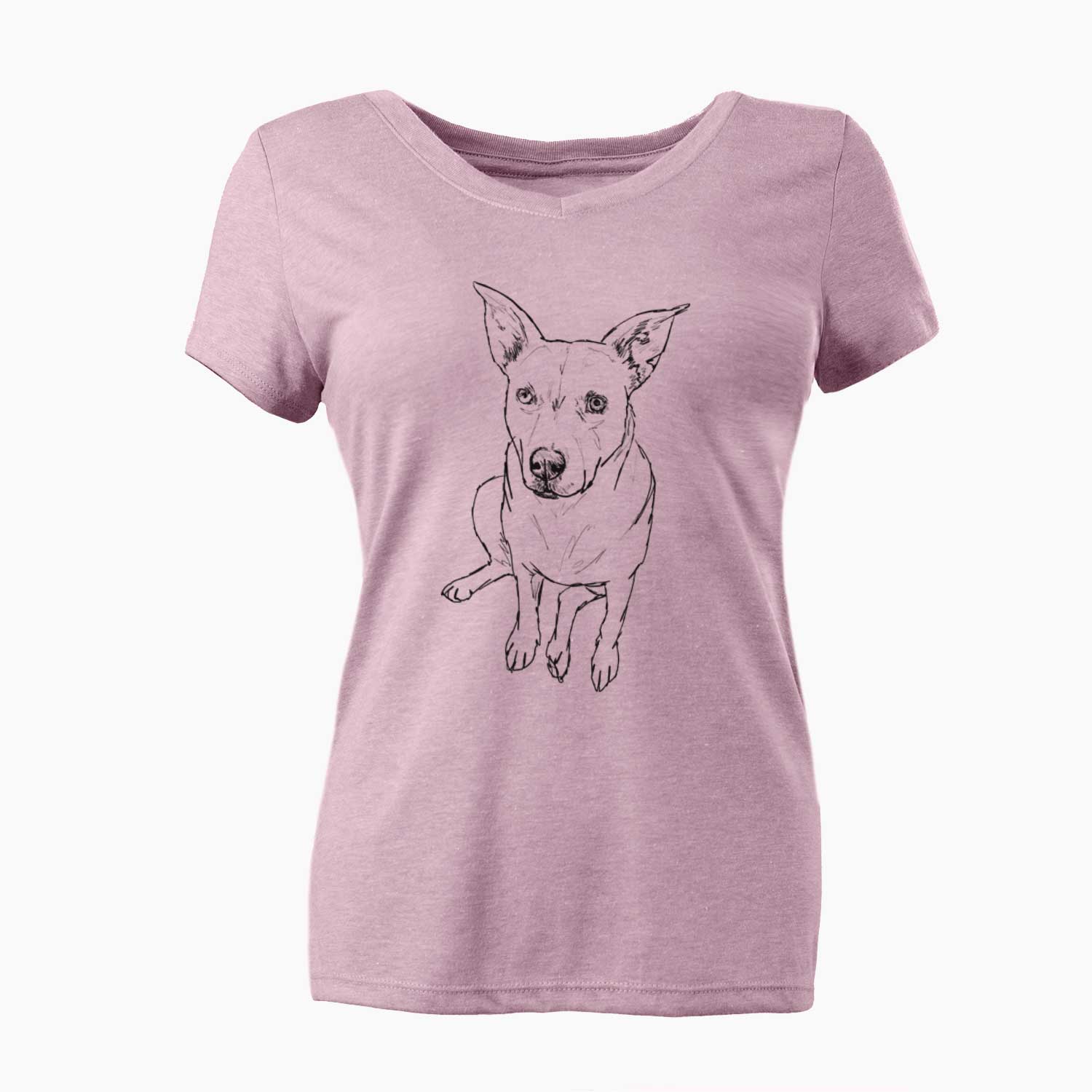 Doodled Rockstar the Mixed Breed - Women's V-neck Shirt