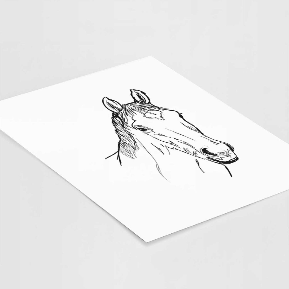 Doodled Scooby the Arabian Horse Art Print