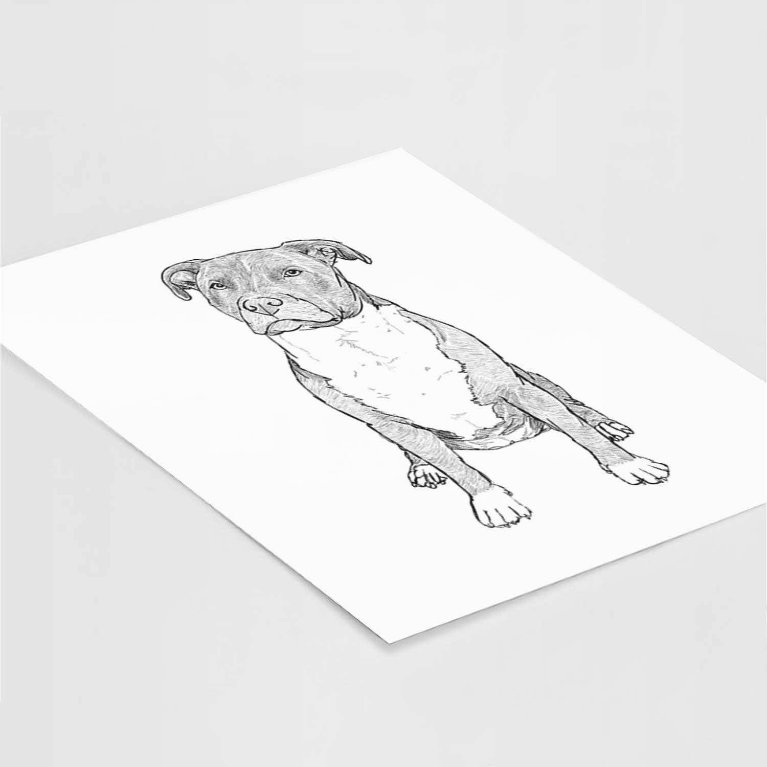 Doodled Sealy the Pitbull Art Print