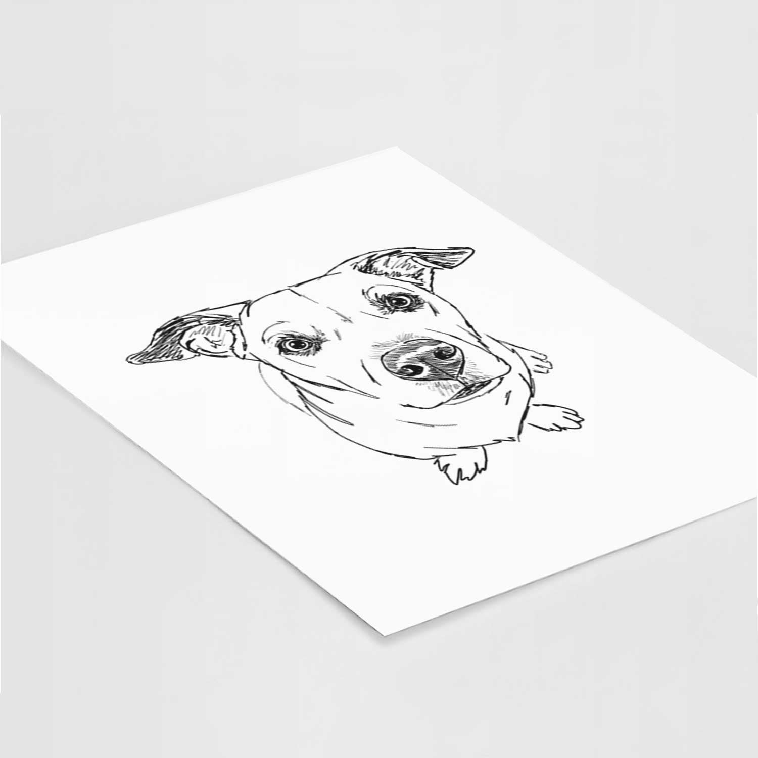 Doodled Skittles the Mixed Breed Art Print