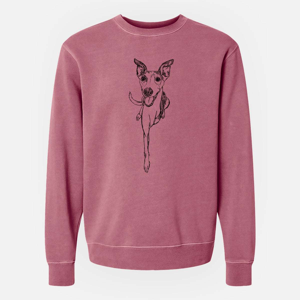 Doodled Sonic the Tripod Whippet - Unisex Pigment Dyed Crew Sweatshirt