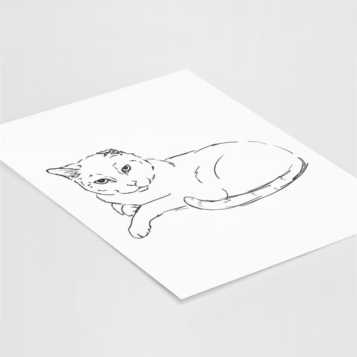 Doodled Spenser the Cat Art Print