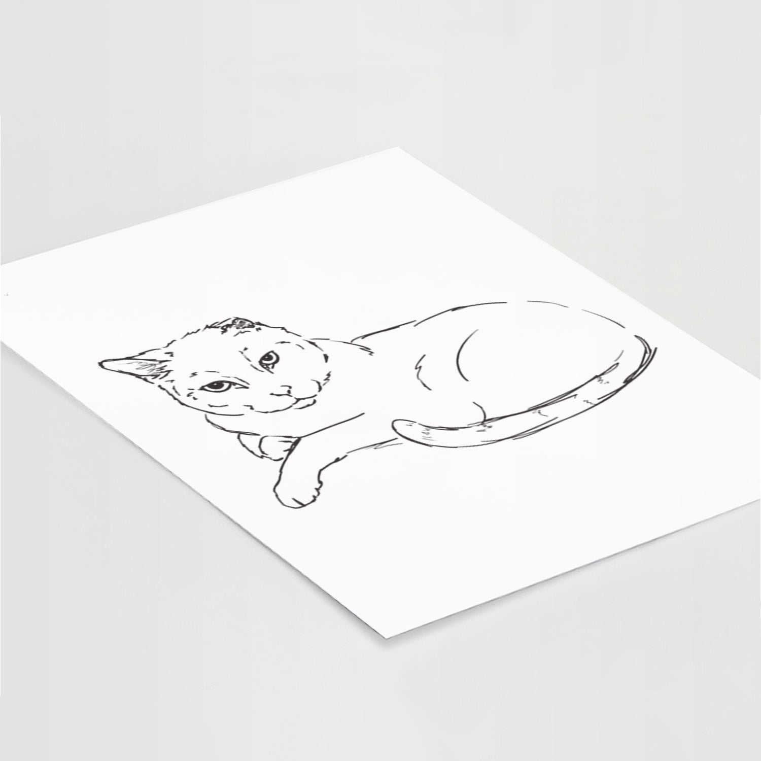Doodled Spenser the Cat Art Print