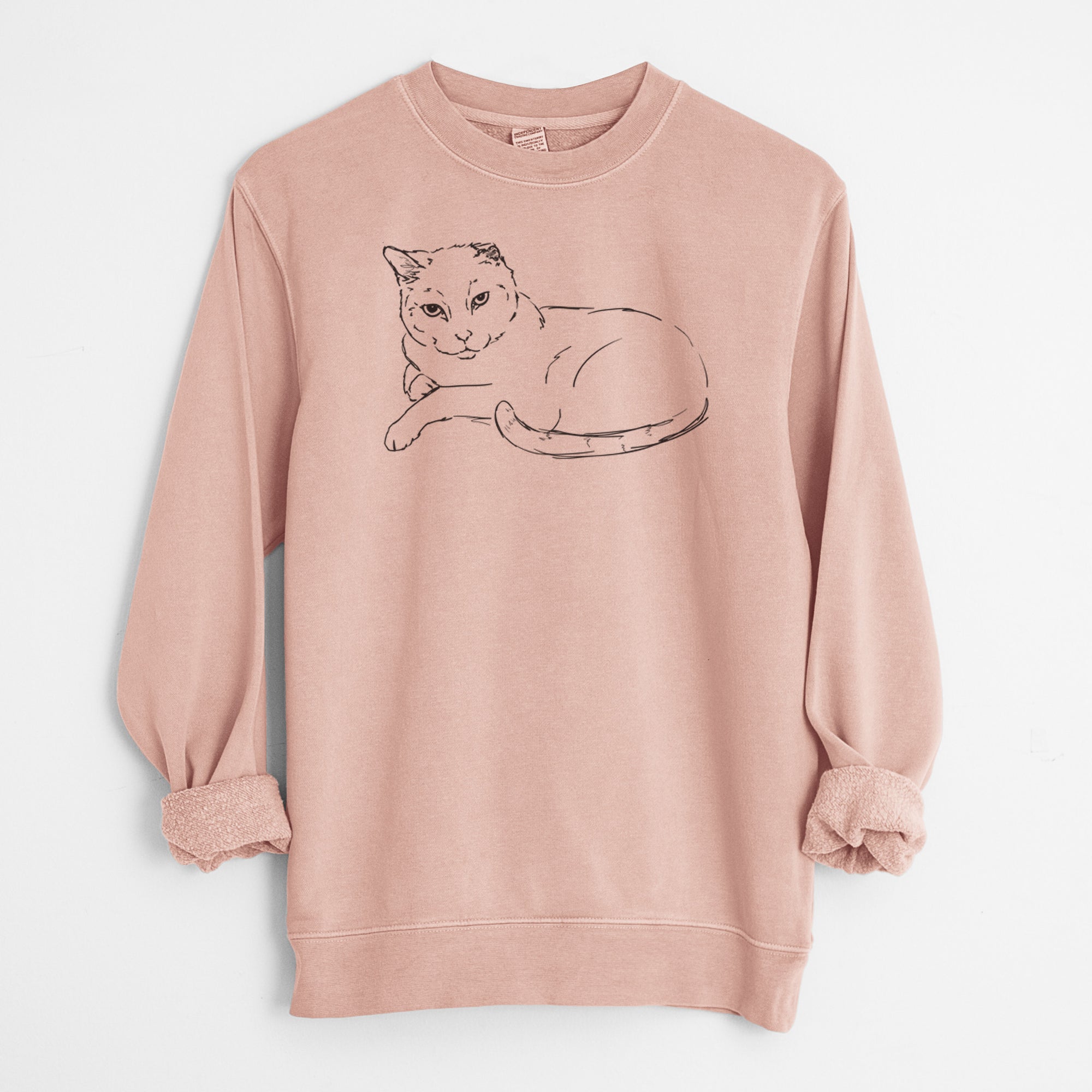 Doodled Spenser the Cat - Unisex Pigment Dyed Crew Sweatshirt