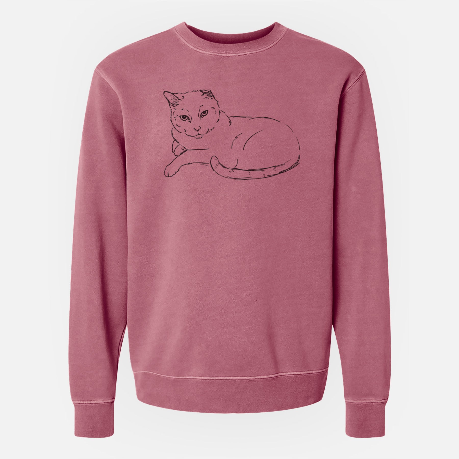 Doodled Spenser the Cat - Unisex Pigment Dyed Crew Sweatshirt