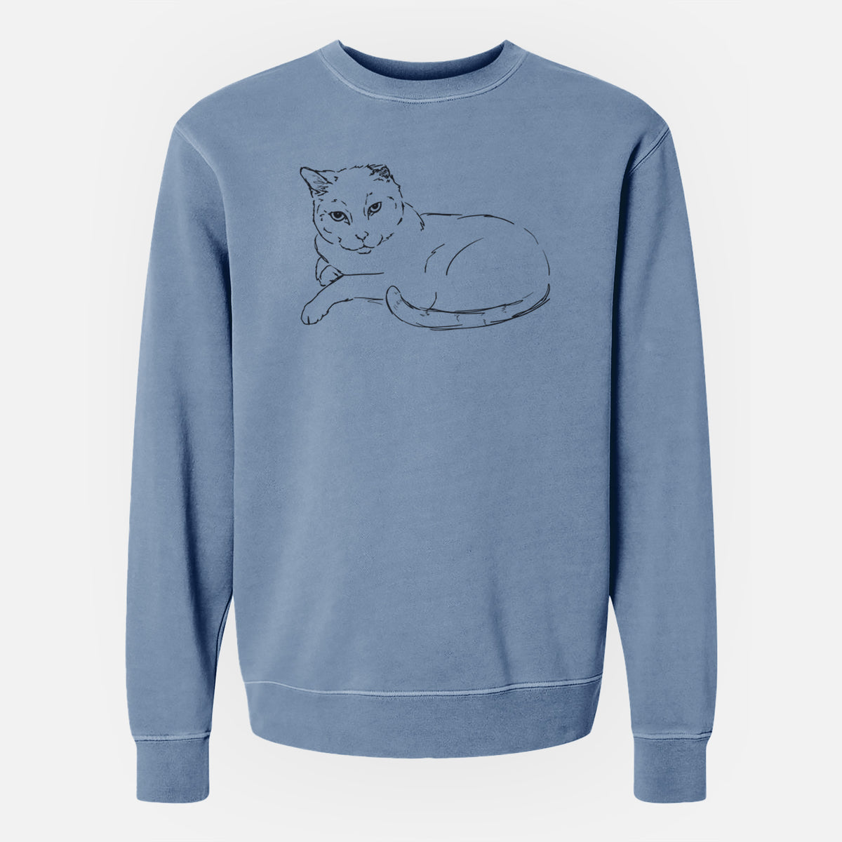 Doodled Spenser the Cat - Unisex Pigment Dyed Crew Sweatshirt