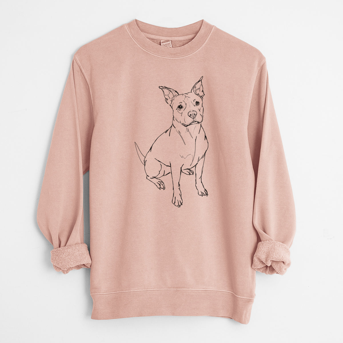 Doodled Tater Tot the American Staffordshire Terrier - Unisex Pigment Dyed Crew Sweatshirt