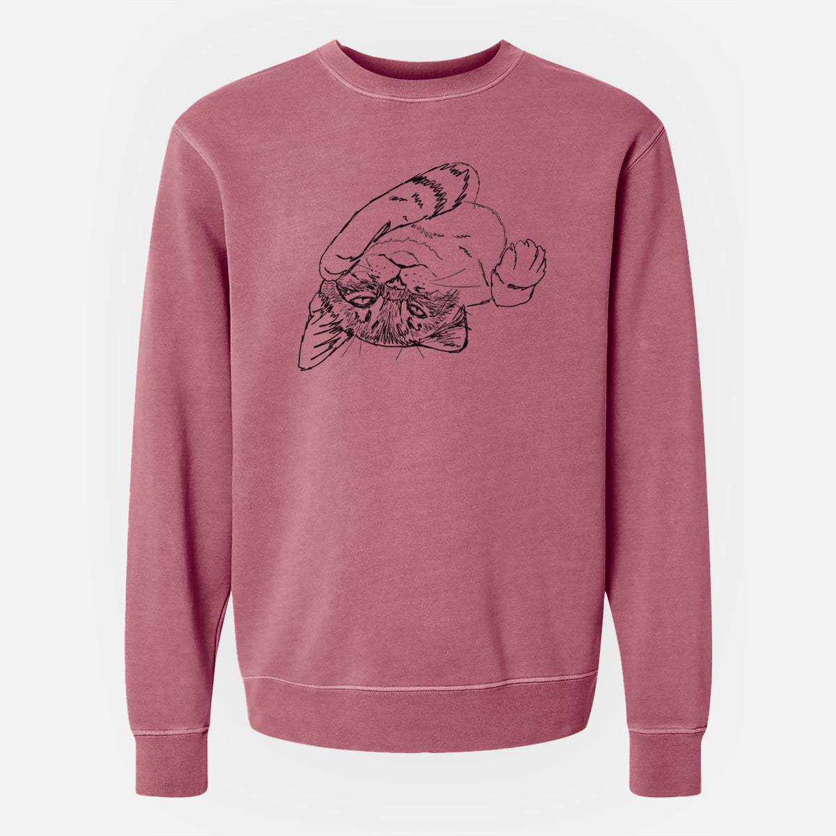 Doodled Tator the Tabby Kitten - Unisex Pigment Dyed Crew Sweatshirt