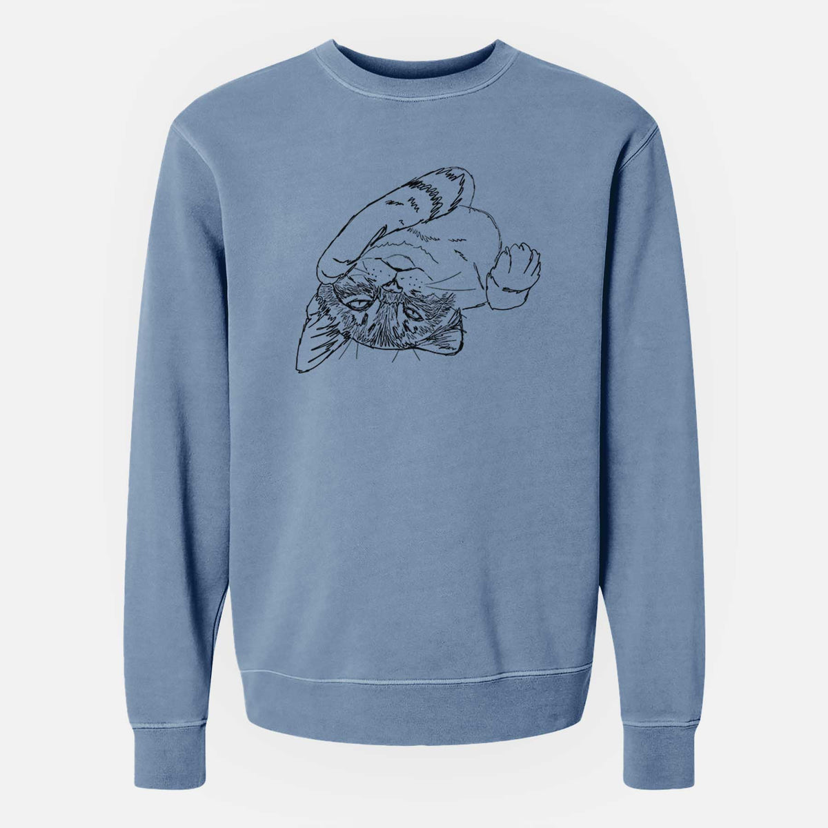 Doodled Tator the Tabby Kitten - Unisex Pigment Dyed Crew Sweatshirt
