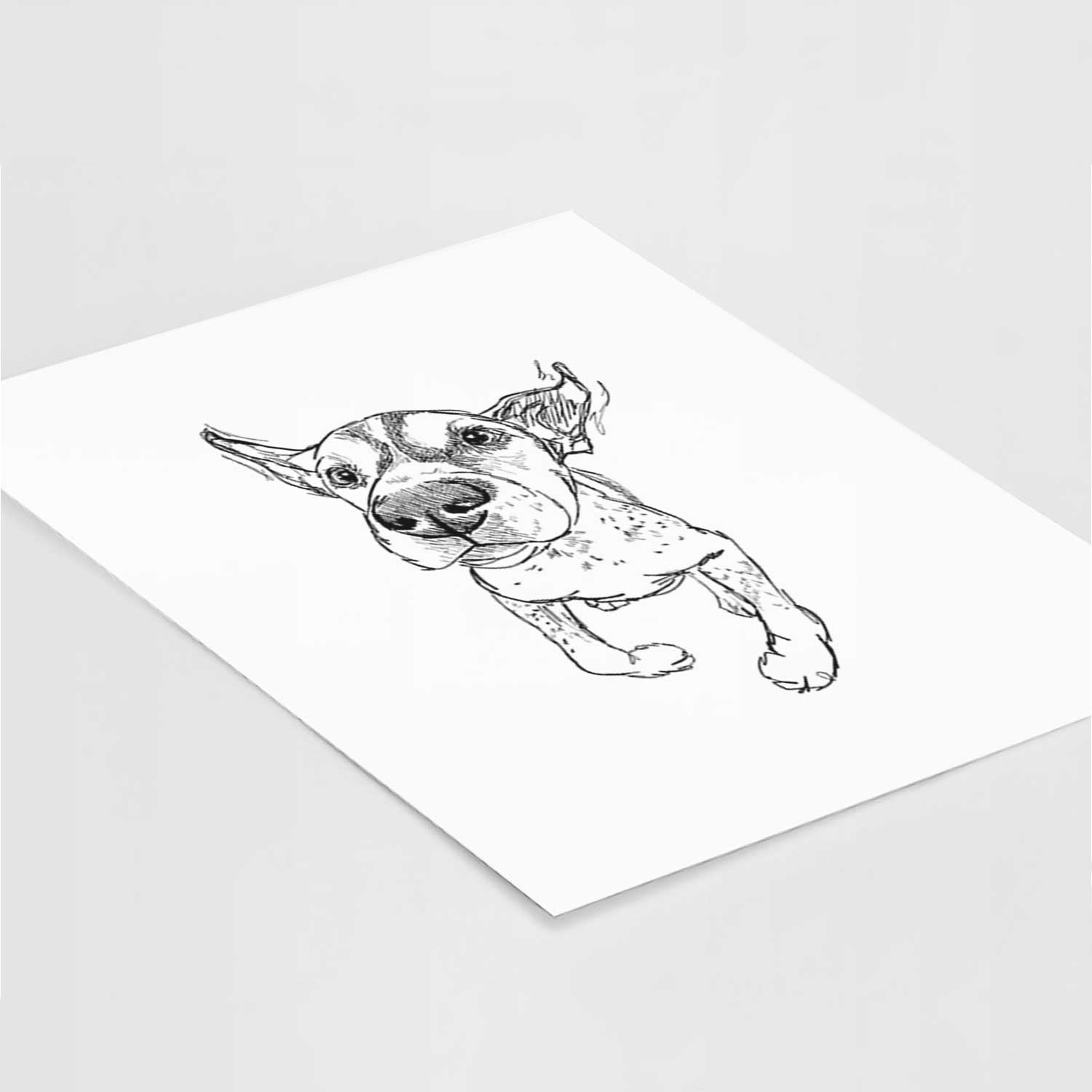 Doodled The General the German Shorthaired Pointer Art Print