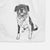 Doodled Tucker the Border Collie Pitbull Mix Decorative Hand Towel