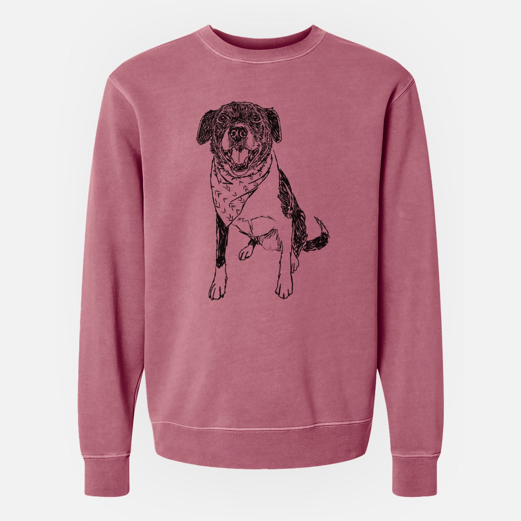 Doodled Tucker the Border Collie Pitbull Mix - Unisex Pigment Dyed Crew Sweatshirt