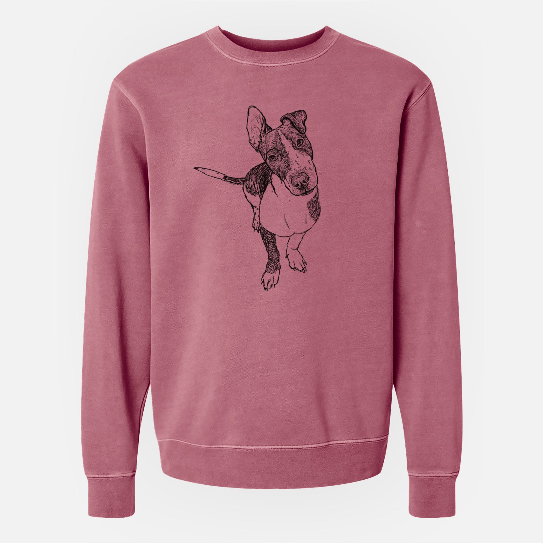 Doodled Vinny the Pitbull Mix - Unisex Pigment Dyed Crew Sweatshirt