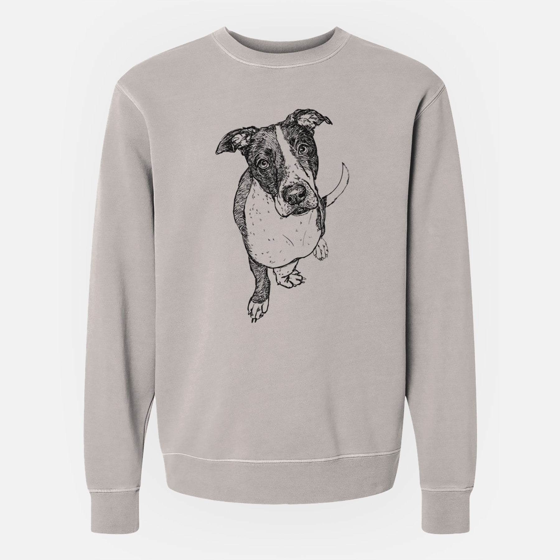 Doodled Vinny the Pitbull - Unisex Pigment Dyed Crew Sweatshirt