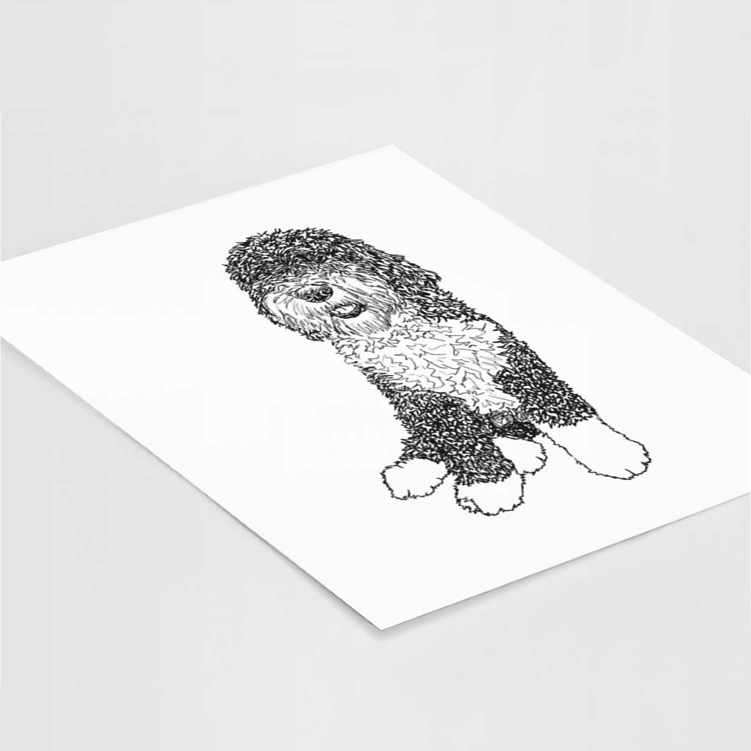 Doodled Whittaker the Sheepadoodle Art Print