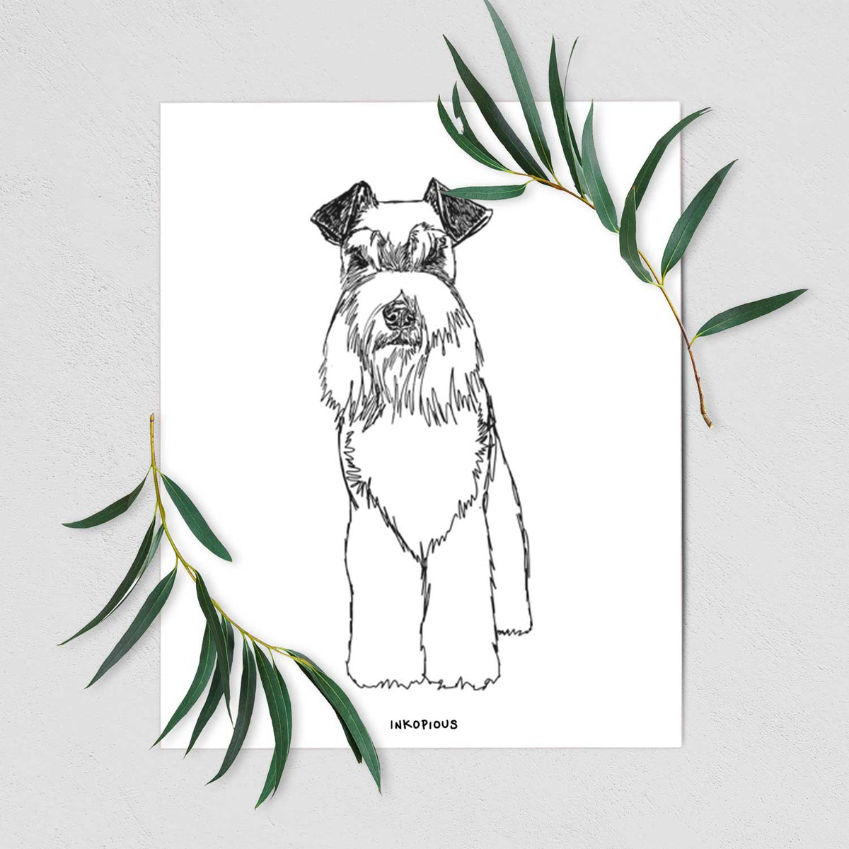 Doodled Wilco the Standard Schnauzer Art Print
