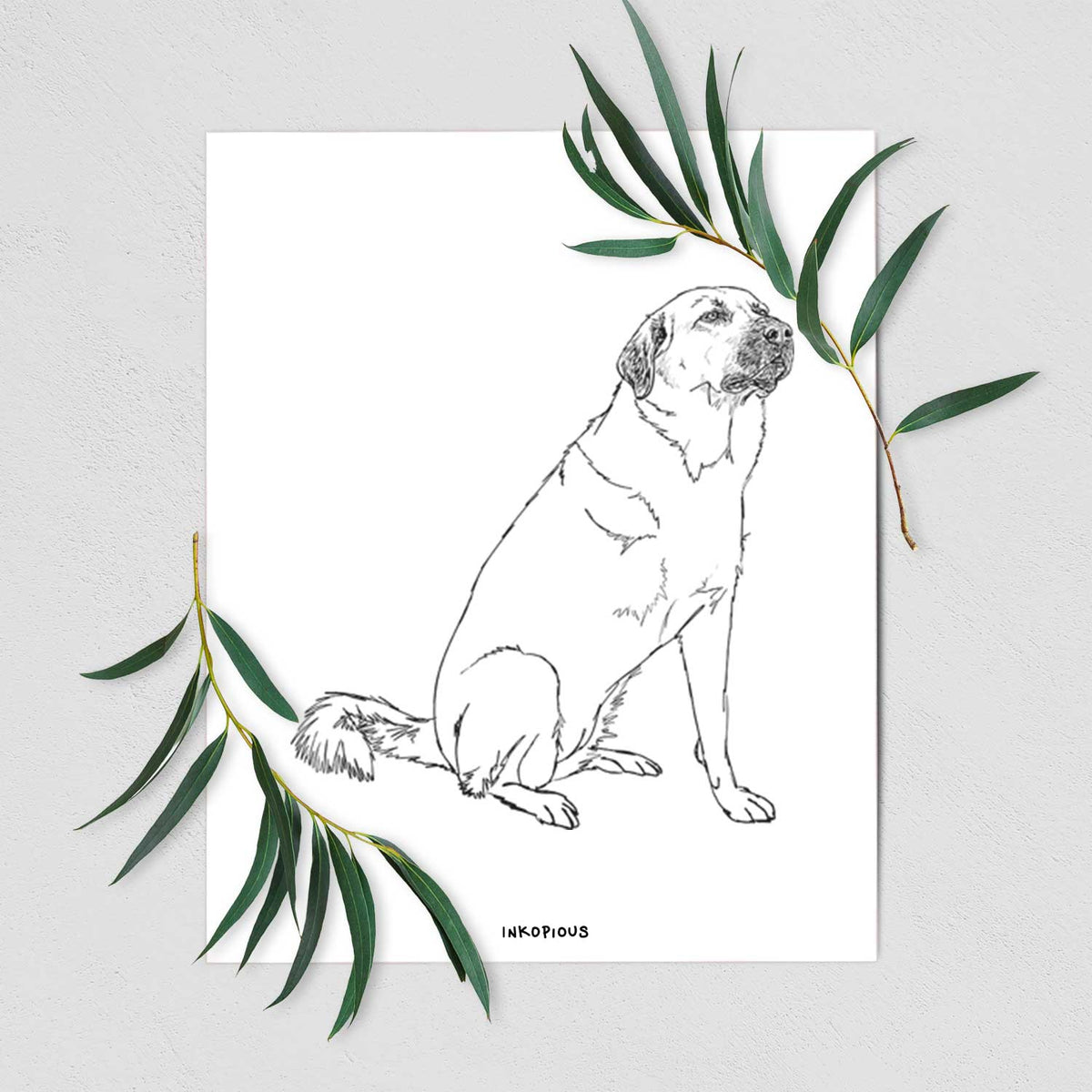 Doodled Willow the Pyratolian Art Print