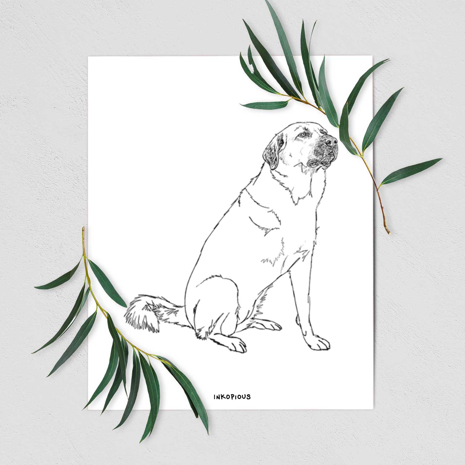 Doodled Willow the Pyratolian Art Print