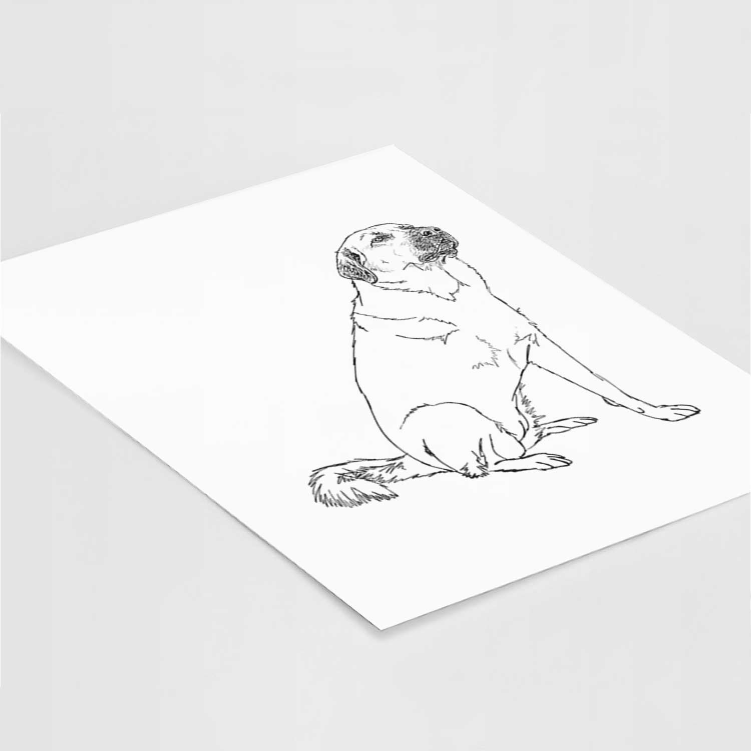 Doodled Willow the Pyratolian Art Print